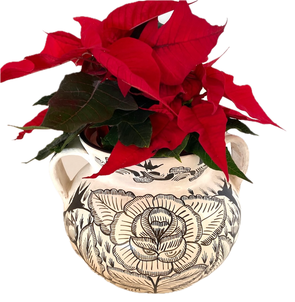 Medium Burnished Clay Pot - Huancito